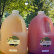 Gallon of Tea